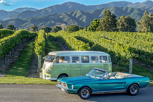 marlborough wine tour classic cars